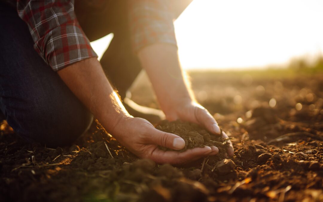 Soil Carbon Potential of Every Field in UK Revealed in Boost for Net Zero Goals in Agriculture